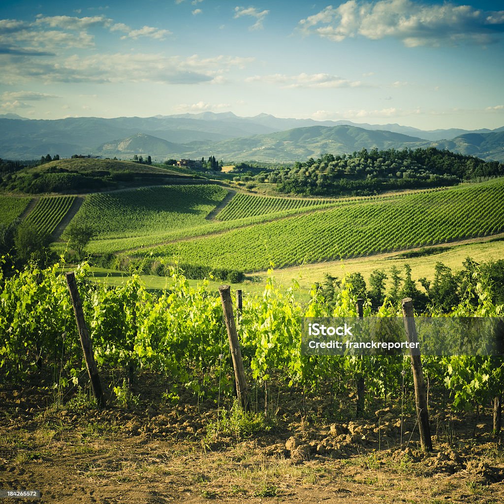 Chianti Region hills at sunset in Tuscany - Italy  Chianti Region Stock Photo