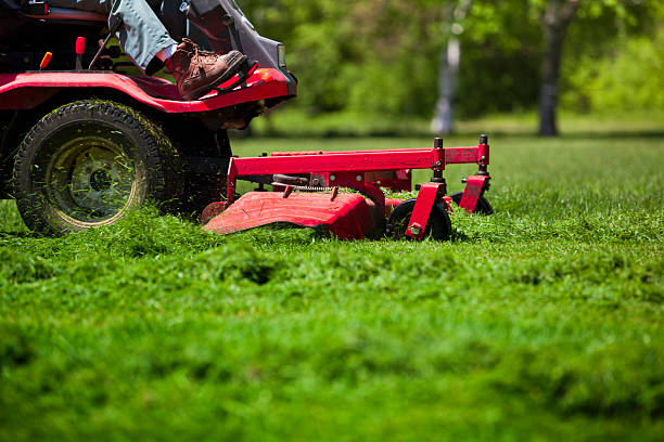 Man mowing lawn Gardener in the park on a lawn cutting tractor machine garden tractor stock pictures, royalty-free photos & images