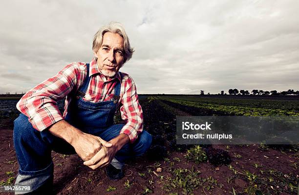 Farmer Sentado En Frente De Su Campo Foto de stock y más banco de imágenes de 50-59 años - 50-59 años, Adulto, Agricultor