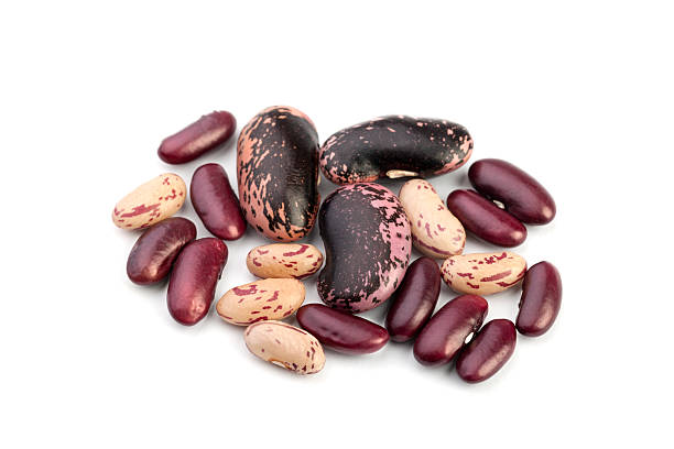 sélection de haricots sur blanc - dried beans photos et images de collection
