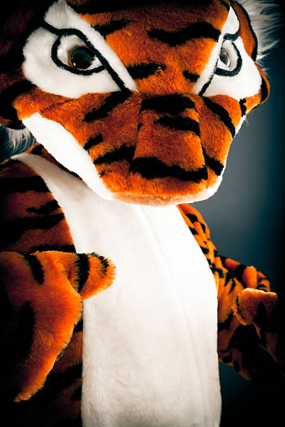 istock studio shot of a not so wild tiger 184266088