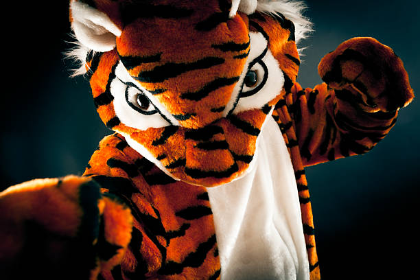 istock studio shot of a not so wild tiger 184266172