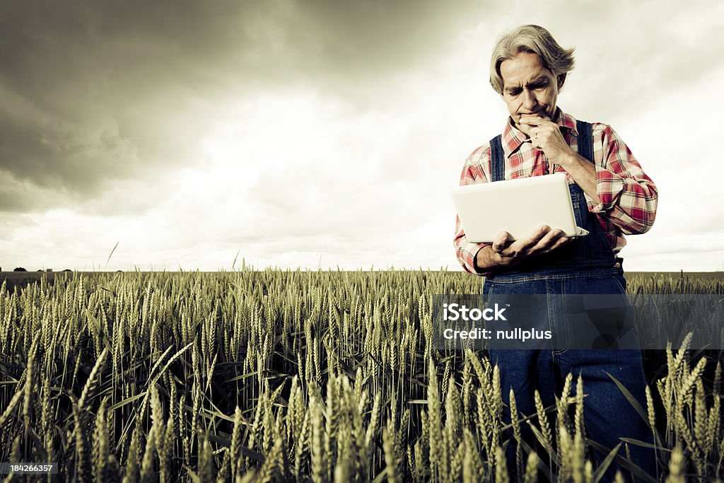 Agricoltore suo raccolto di vendita su internet - Foto stock royalty-free di Adulto