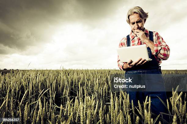 Agricoltore Suo Raccolto Di Vendita Su Internet - Fotografie stock e altre immagini di Adulto - Adulto, Agricoltore, Agricoltura