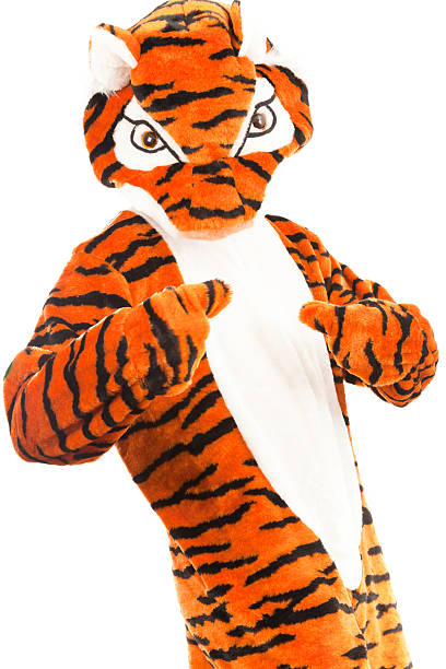 Colorful background pattern of African tiger straps