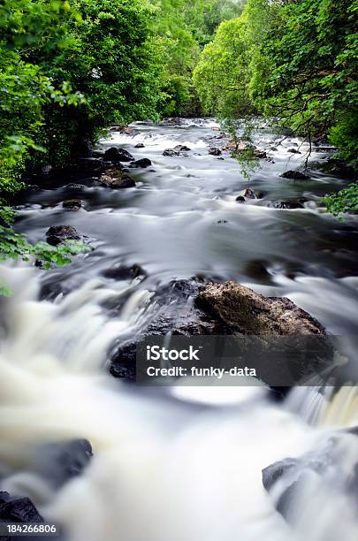 Waldfluss In Long Exposure Stockfoto und mehr Bilder von Bach - Bach, Baum, Bewegung