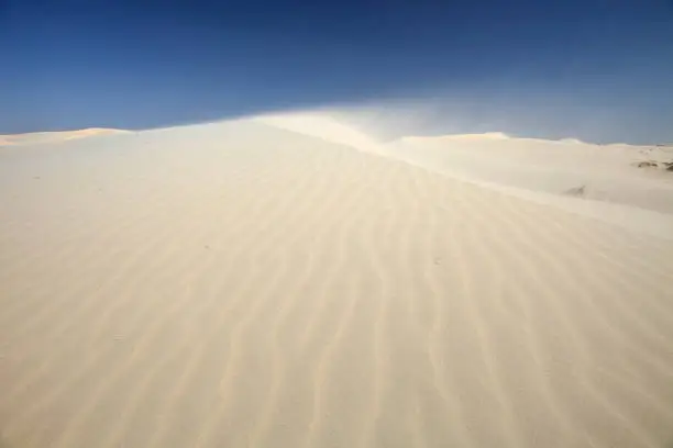 Wind swept sand dunes in the Monahans, West Texas