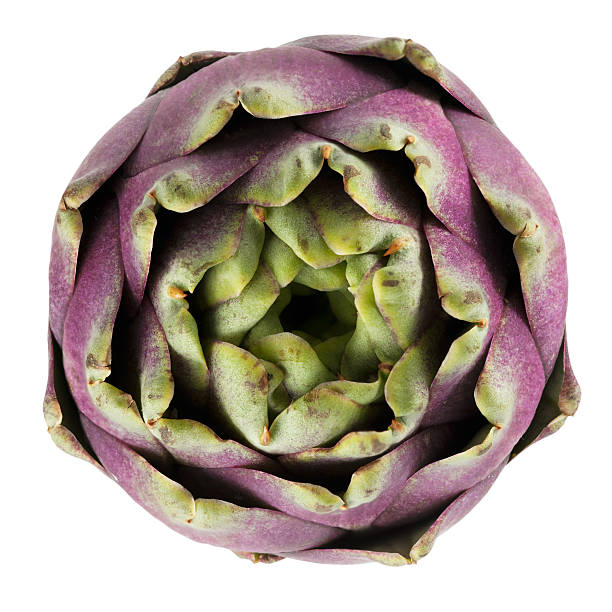artichaut sur blanc - purple artichoke photos et images de collection