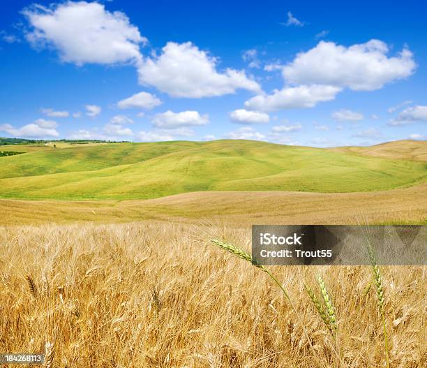 Photo libre de droit de Paysage En Toscane banque d'images et plus d'images libres de droit de Blanc - Blanc, Bleu, Champ