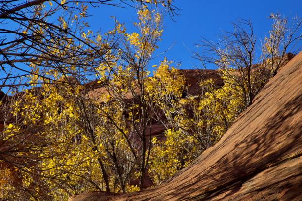 istock Red Rock Canyon National Conservation Area 1842681877