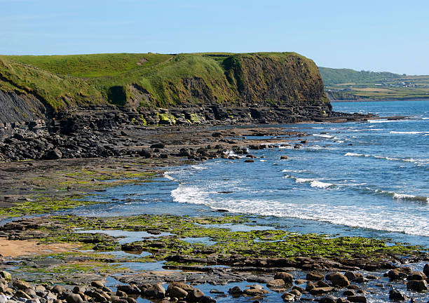 istock Cliff view of blue ocean waves and tide pools 184268421