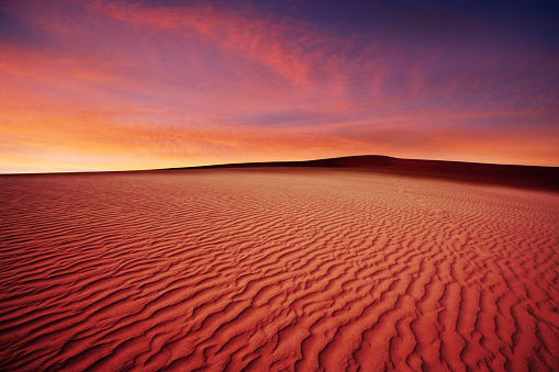 rippled desert sand dunes at sunset (XL)