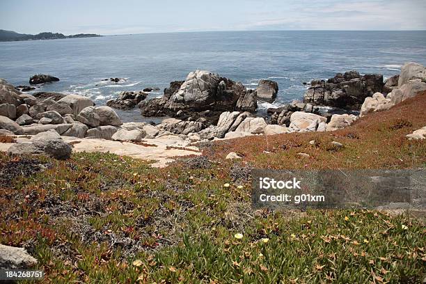 Pescadero Ponto Em 17 Mile Conduzir Na Big Surcalifórnia - Fotografias de stock e mais imagens de 17-Mile Drive