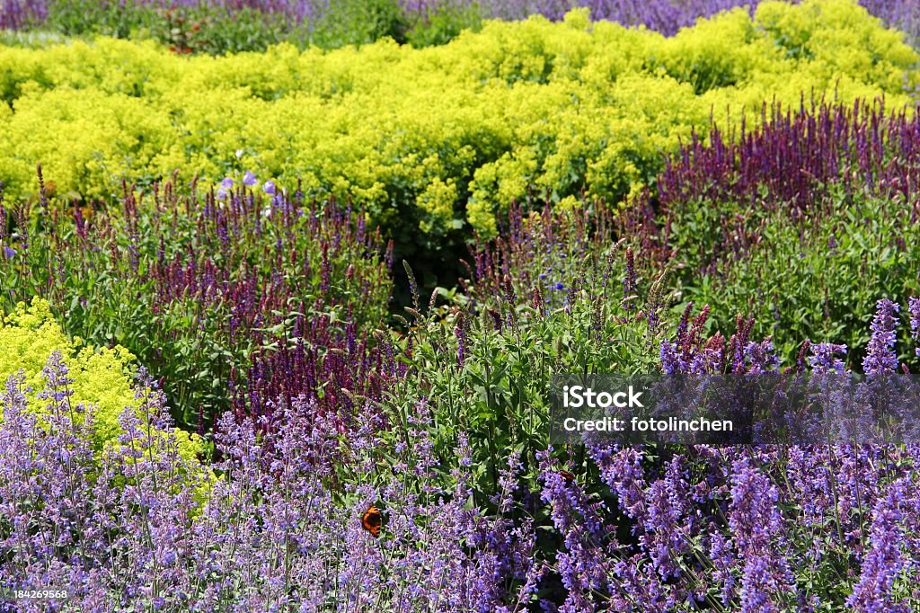 Herb garden - Lizenzfrei Alternative Medizin Stock-Foto