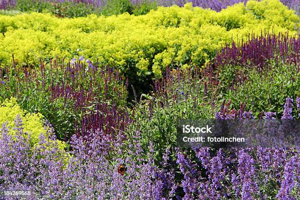 Herb Garden Stockfoto und mehr Bilder von Alternative Medizin - Alternative Medizin, Beleuchtet, Blau