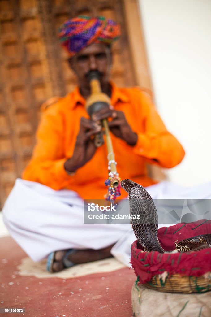 Indian Schlangenbeschwörer - Lizenzfrei Jaipur Stock-Foto
