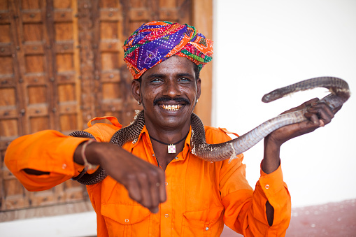 Closeup image of snake charmer in Pushkar, Rajasthan, India, working with snake.