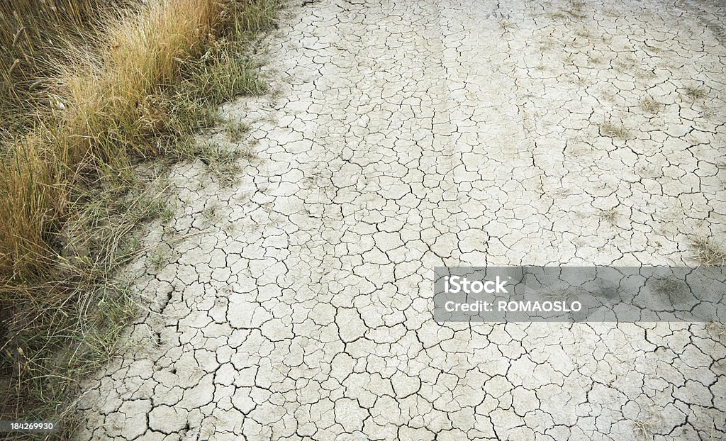 Asciutto e incrinato dirt road in Val d'Orcia, Toscana, Italia - Foto stock royalty-free di Caratteristica della terra