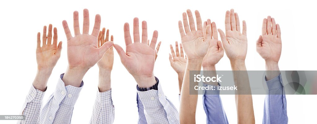 Raised human hands Many human hands of business people raising against the white background. Studio shot. Business Stock Photo