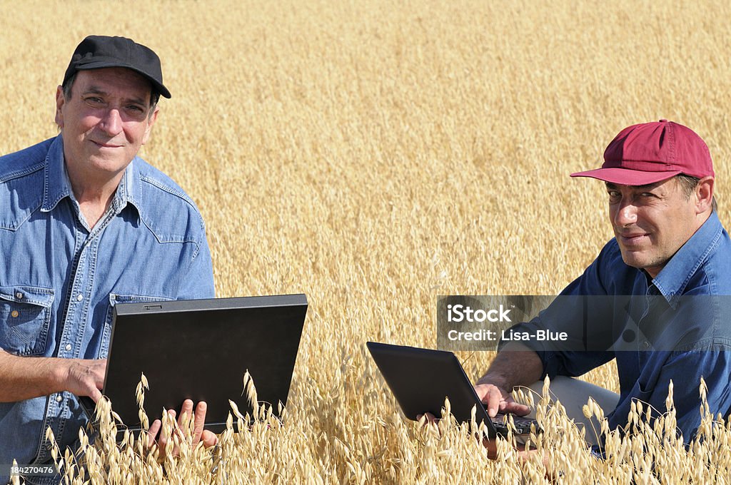 Due agricoltori pianificazione PC in un campo di grano - Foto stock royalty-free di Campo