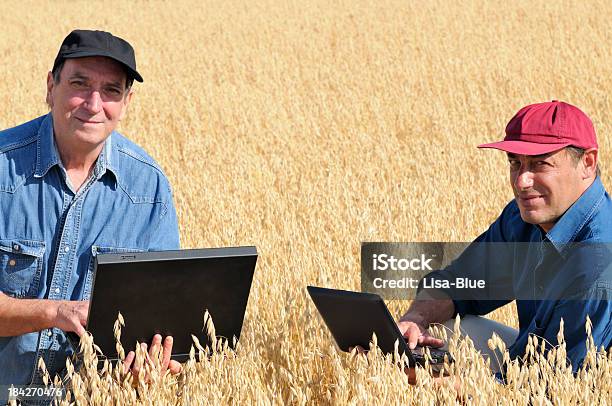 Due Agricoltori Pianificazione Pc In Un Campo Di Grano - Fotografie stock e altre immagini di Campo