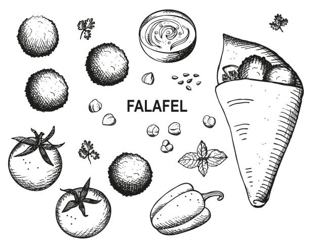 ilustrações, clipart, desenhos animados e ícones de falafel desenhado à mão ilustração vetorial gravada. comida vegetariana, cozinha oriental. design com bolas de grão-de-bico shawarma com falafel, tomates, verdura, homus, amendoim. para menu, cartão, impressão, web - lentilha-leguminosa