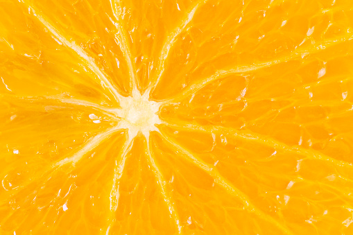Orange macro background.Related pictures: