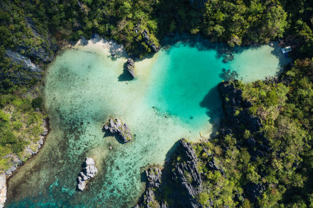 istock Aerial view of Cadlao Lagoon 1842710937