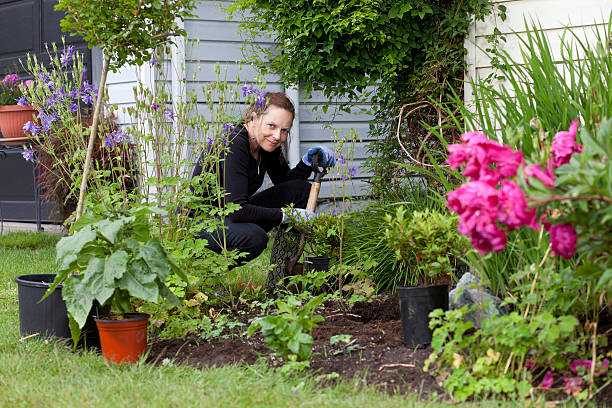 istock woman in her front garden planting. 184271722