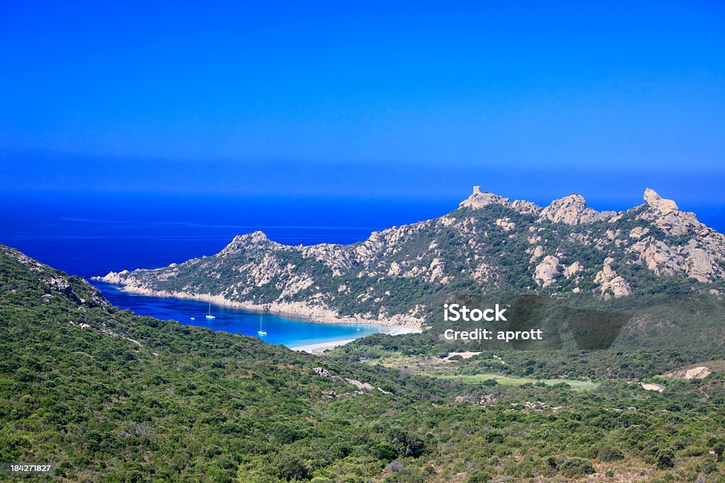Bay of Roccapina on Corsica, France Bay of Roccapina on the island of Corsica, France. On the mountain a Genoese tower and to the right a stone looking like a lion. Sailboats anchoring in the bay. Lion - Feline Stock Photo
