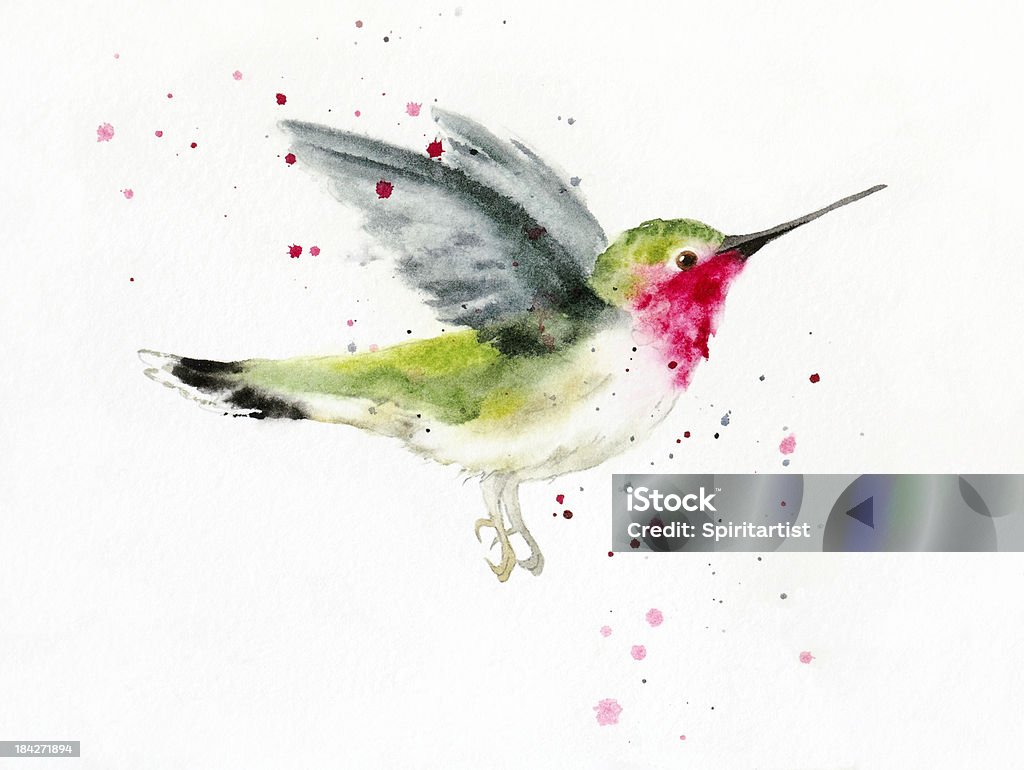 Hovering Hummingbird "Photographed and created by me, Sandy Sandy, this hummingbird illustration has minimal post processing and shows off the texture of the paper and the granular imperfections of natural pigments. Interesting color transitions flow and mingle in an soft organic way, like nature itself and only translucent watercolor paint can. This image was painted with real water, synthetic brushes and tube watercolors on handmade, cotton rag paper." Watercolor Painting stock illustration