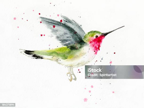 Hovering Hummingbird Stock Illustration - Download Image Now - Watercolor Painting, Bird, Hummingbird