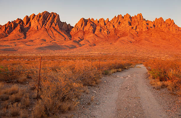 The Organ Mountains are a rugged mountain range in southern New Mexico in the Southwestern United States near Las Cruces. Photo of soft afternoon light on the surrounding desert mountain peaks. The Mountains serve as a haven for one of the most diverse plant and wildlife communities in the Southwest.