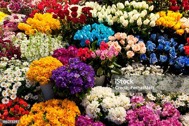 ファーマーズマーケットの色鮮やかなフラワーのブーケ - デイジーのストックフォトや画像を多数ご用意 - デイジー, 植物 バラ, お祝い