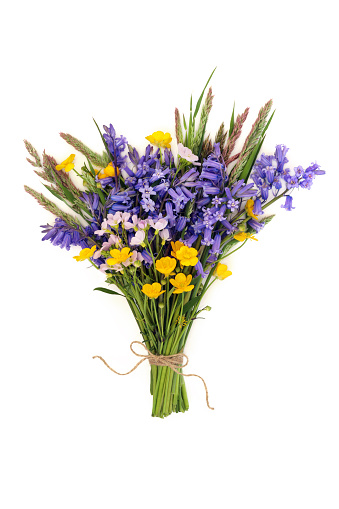 Spring wildflower arrangement posy of British flowers for Beltane on white background. Floral nature composition.
