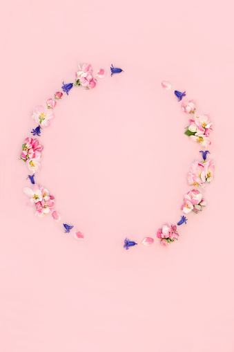 Spring flower wreath with apple blossom and bluebell flowers. Minimal abstract design for Beltane, Easter, Mothers Day, birthday for card, logo, gift tag or invitation on pink.