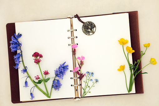 Spring Wildflower nature study with old leather notebook, bluebell, buttercup, red campion, valerian, forget me not, herb robert and chive blossom flowers. British species floral composition on hemp paper.