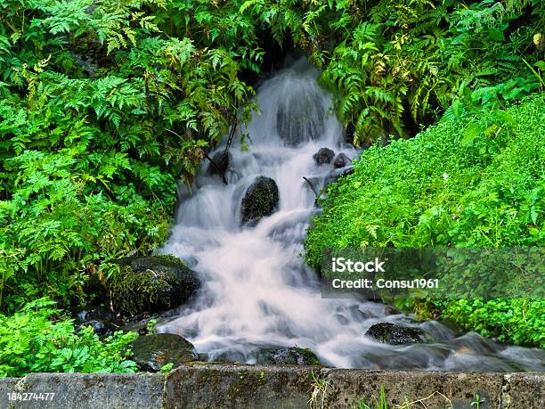 De Niza Jump Foto de stock y más banco de imágenes de Agua - Agua, Agua subterránea, Aire libre