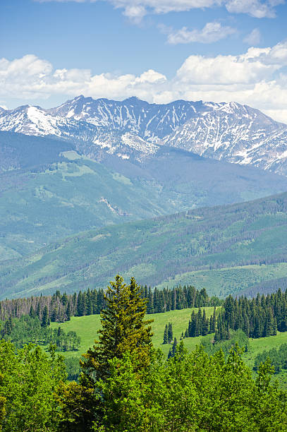 gore range mountains in summer colorado usa - vail eagle county colorado stockfoto's en -beelden