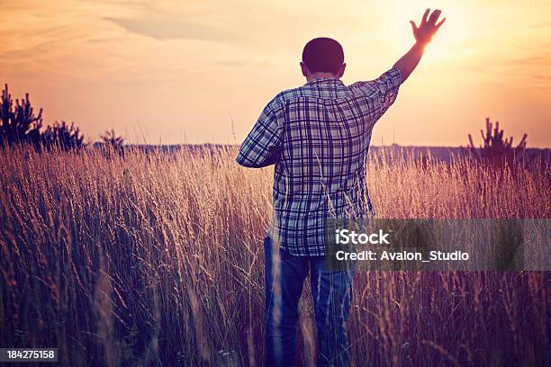 Manos Hacia El Cielo Foto de stock y más banco de imágenes de Rezar - Rezar, Dios, Gratitud