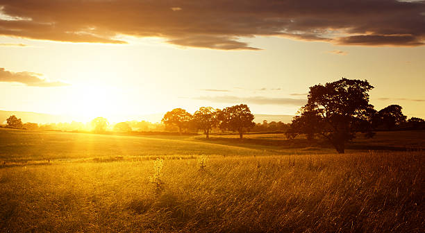 istock Country Landscape Sunset 184275344