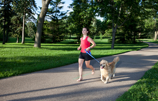 Jogger and golden retriever out for a run.