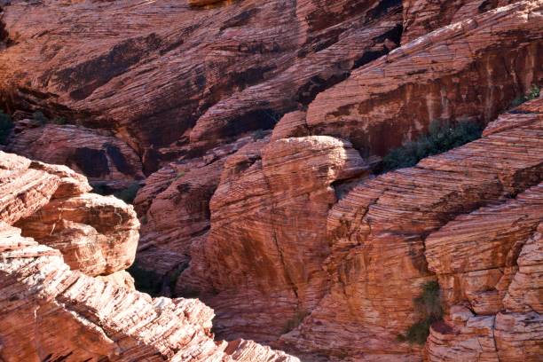 istock Red Rock Canyon National Conservation Area 1842757799