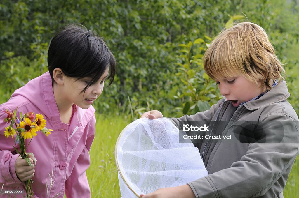 Niños de explorar la naturaleza, para crickets - Foto de stock de 10-11 años libre de derechos