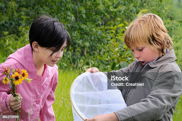 Niños De Explorar La Naturaleza Para Crickets Foto de stock y más banco de imágenes de 10-11 años - 10-11 años, 8-9 años, Aire libre