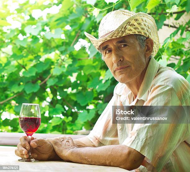 Photo libre de droit de Homme De Dégustation De Vins banque d'images et plus d'images libres de droit de Boire - Boire, Hommes d'âge mûr, Plante grimpante et vigne