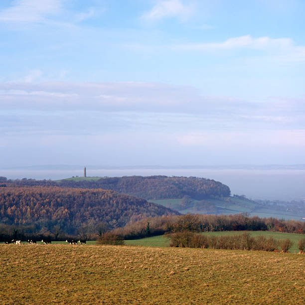 istock Picturesque Cotswolds - Rural countryside 184276183