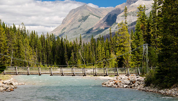 istock Foot Bridge across Vermillion River 184276431