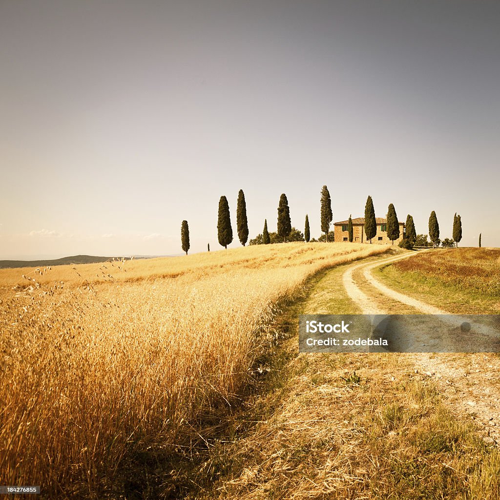 Farmhouse and Rural Road in Val d'Orcia, Tuscany Beautiful landscape in Tuscany Tuscany Stock Photo