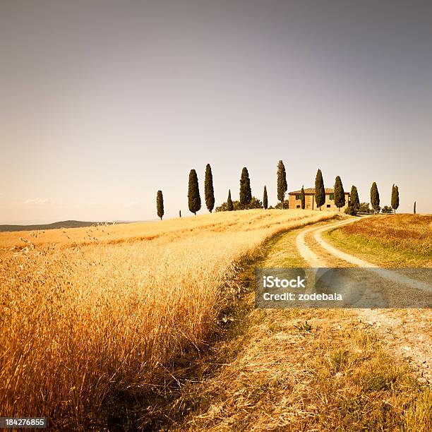 Farmhouse And Rural Road In Val Dorcia Tuscany Stock Photo - Download Image Now - Tuscany, Chianti Region, Valley